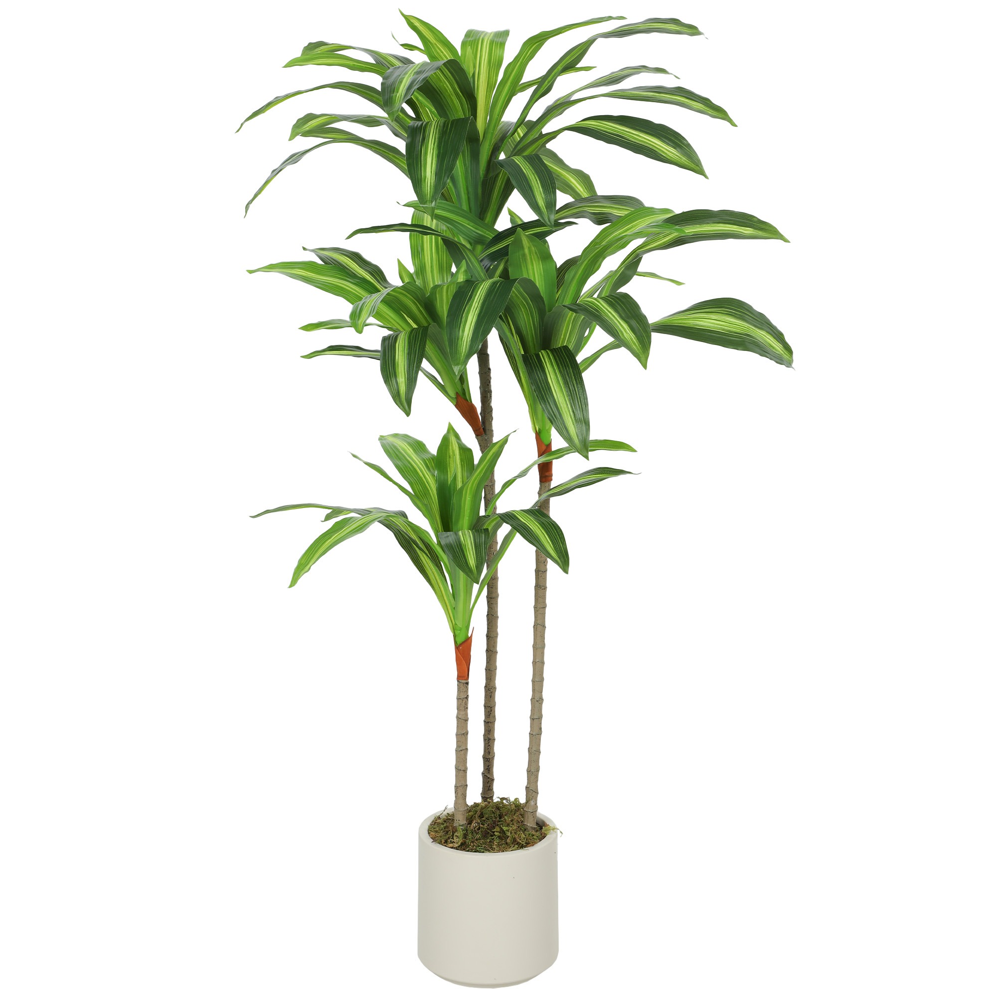 Keinotekoinen Dracaena-puu 120 cm taipuisilla rungoilla ja valkoisella ruukulla olohuoneeseen, makuuhuoneeseen, toimistoon