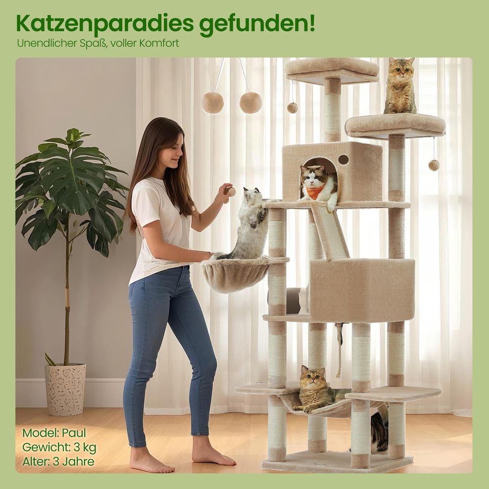 Kissapuu, 206 cm korkea, 13 raapimistolppaa