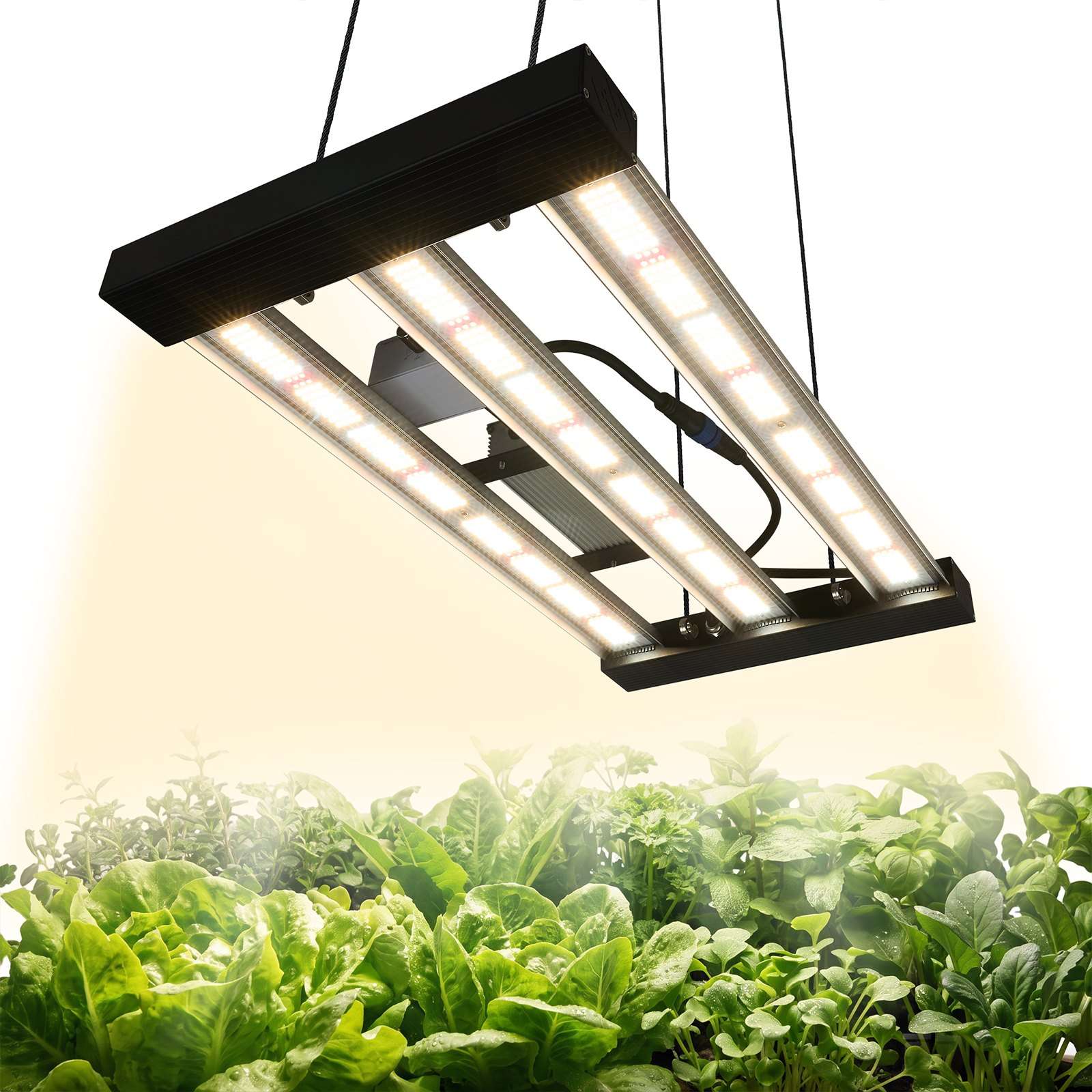 Himmennettävä täyden spektrin LED-kasvivalo, 200 W, 400–740 nm, alumiiniseos ja ketjutus, säädettävä kirkkaus, 60 × 60 cm kasvatustelttaan taimille, vihanneksille ja kukintaan